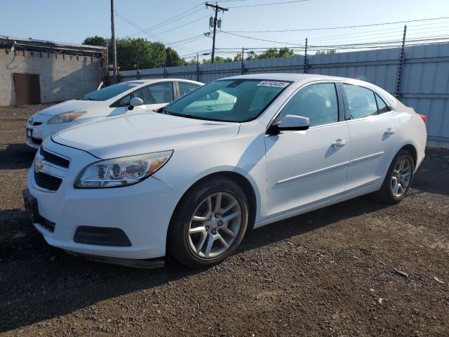 1G11D5SR0DF156701 - 2013 CHEVROLET MALIBU 1LT WHITE photo 1
