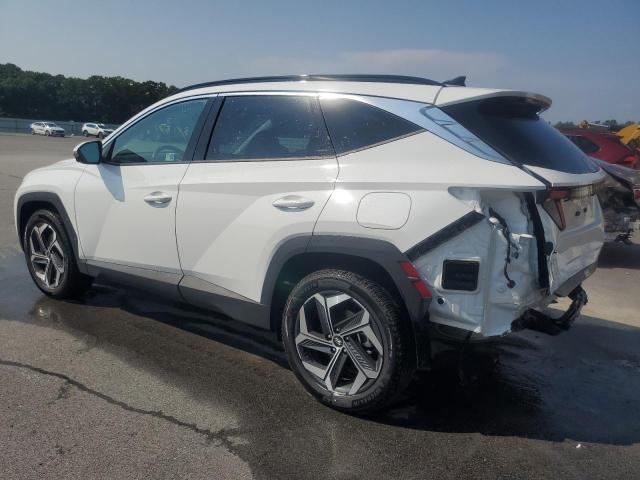 5NMJECDE8RH361390 - 2024 HYUNDAI TUCSON LIMITED WHITE photo 2