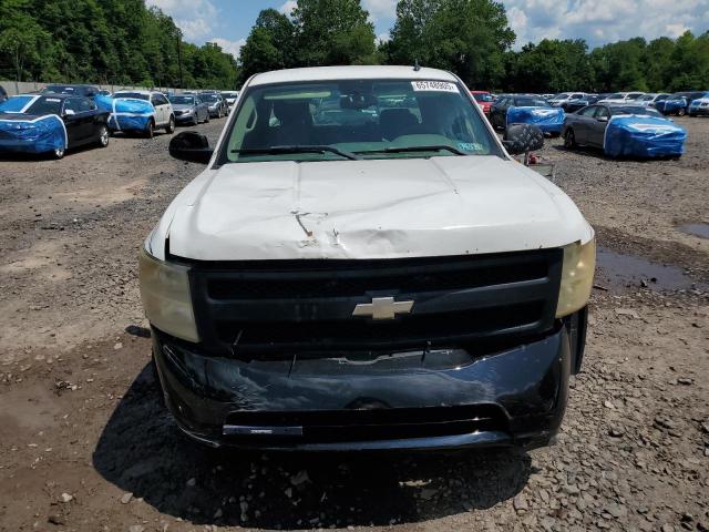 1GCEC19028E116174 - 2008 CHEVROLET SILVERADO C1500 თეთრი ფოტო 5