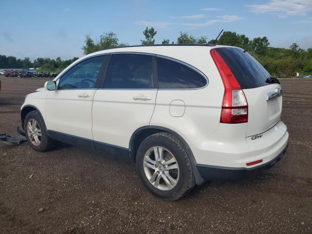 5J6RE4H79AL057468 - 2010 HONDA CR-V EXL WHITE photo 2