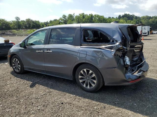 5FNRL6H61RB053072 - 2024 HONDA ODYSSEY EXL GRAY photo 2