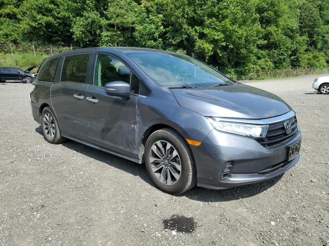 5FNRL6H61RB053072 - 2024 HONDA ODYSSEY EXL GRAY photo 4