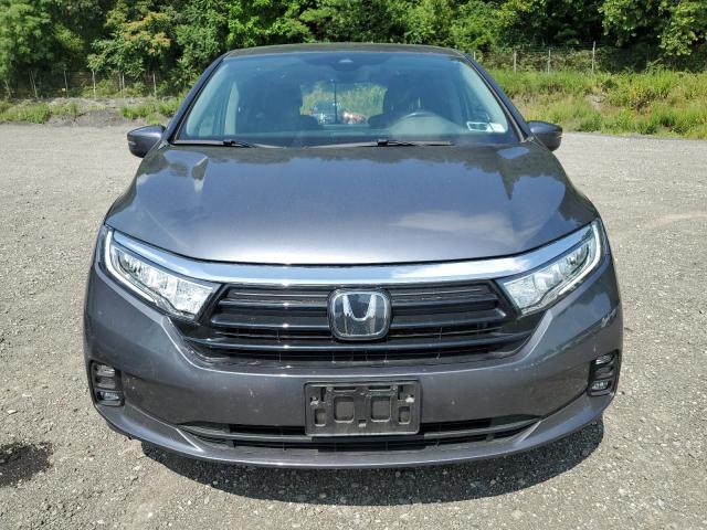 5FNRL6H61RB053072 - 2024 HONDA ODYSSEY EXL GRAY photo 5