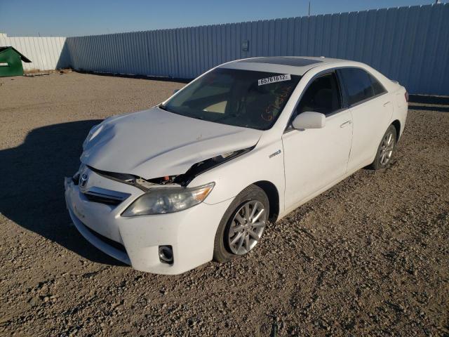 4T1BB3EK4BU138954 - 2011 TOYOTA CAMRY HYBRID WHITE photo 2