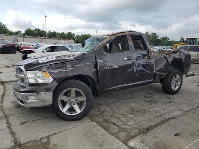 1D7RV1GT5BS613209 - 2011 DODGE RAM 1500 BROWN photo 1