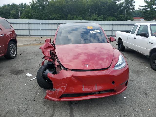 5YJYGDEE8MF228863 - 2021 TESLA MODEL Y Rouge photo 5
