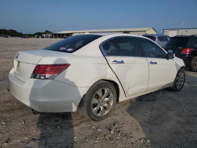 1HGCP26829A112096 - 2009 HONDA ACCORD EXL WHITE photo 3