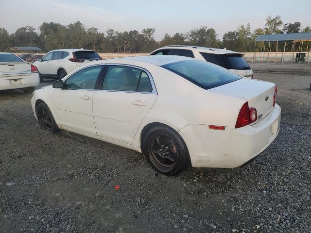 1G1ZA5EU2CF388565 - 2012 CHEVROLET MALIBU LS WHITE photo 2