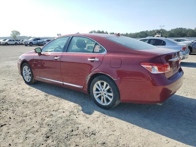 JTHBK1EG0B2442782 - 2011 LEXUS ES 350 RED photo 2