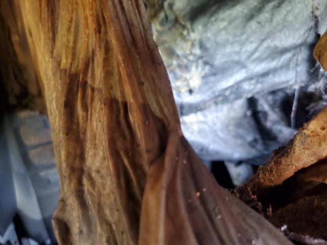 1FMCU0GX6DUD35875 - 2013 FORD ESCAPE SE SILVER photo 11