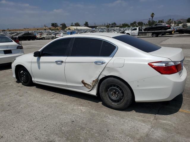 1HGCR2F39DA024623 - 2013 HONDA ACCORD LX 白色 照片 2