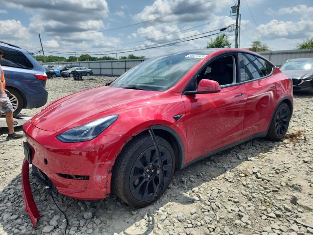 2023 TESLA MODEL Y, 