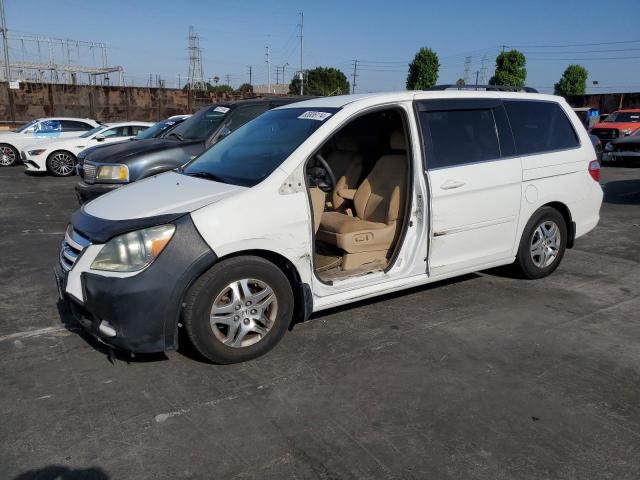 5FNRL38447B036731 - 2007 HONDA ODYSSEY EX WHITE photo 1