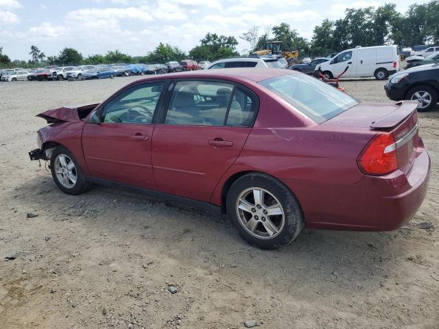 1G1ZT54805F205939 - 2005 CHEVROLET MALIBU LS 红色 照片 2
