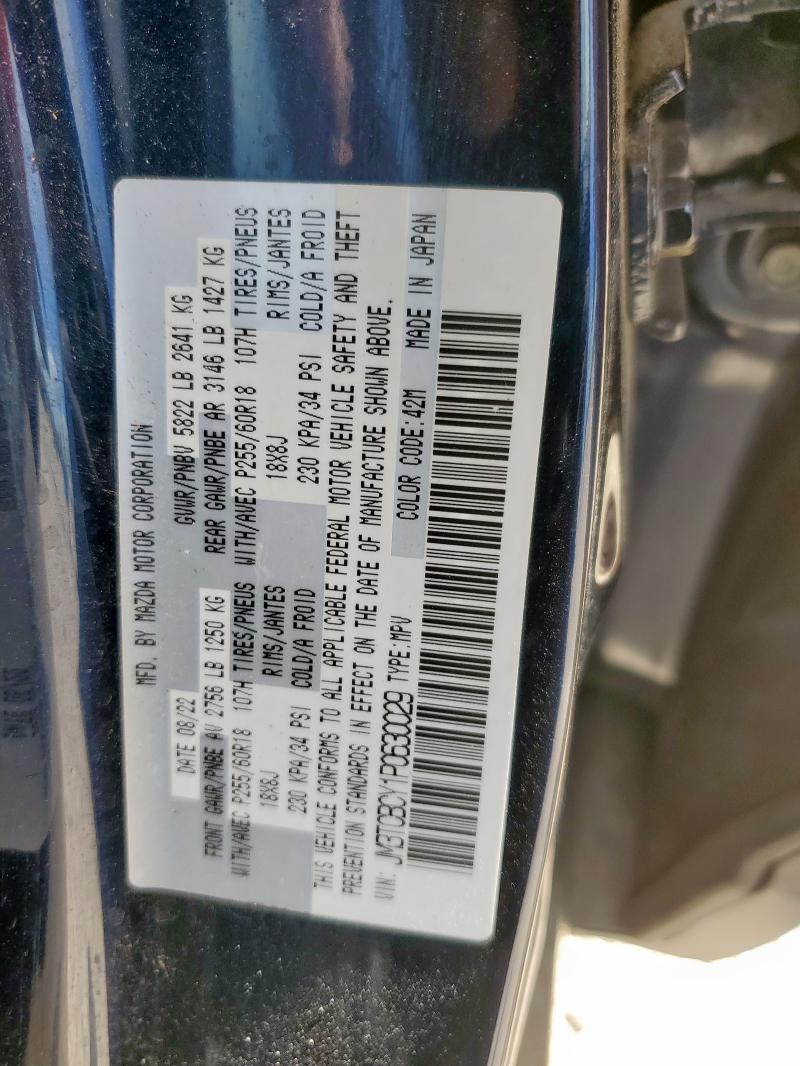 JM3TCBCY1P0630029 - 2023 MAZDA CX-9 TOURING BLUE photo 13