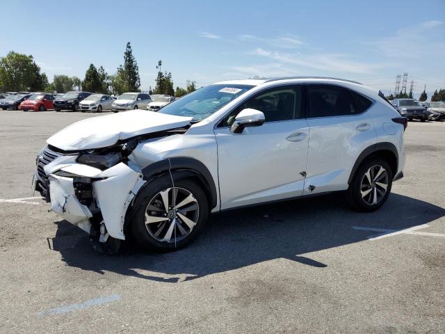 JTJYARBZ1K2134262 - 2019 LEXUS NX 300 BASE Ağ foto 1
