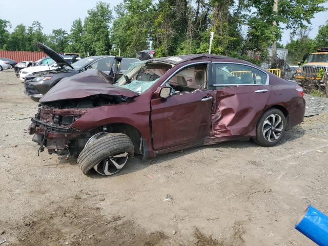 1HGCR2F02GA041676 - 2016 HONDA ACCORD EX BURGUNDY photo 2