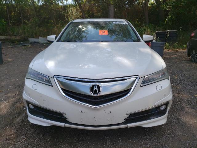 19UUB3F74FA801875 - 2015 ACURA TLX ADVANCE WHITE photo 5