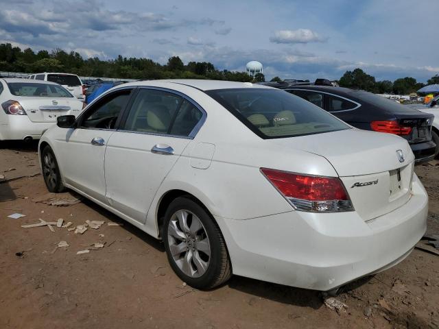 5KBCP3F84AB014026 - 2010 HONDA ACCORD EXL WHITE photo 2