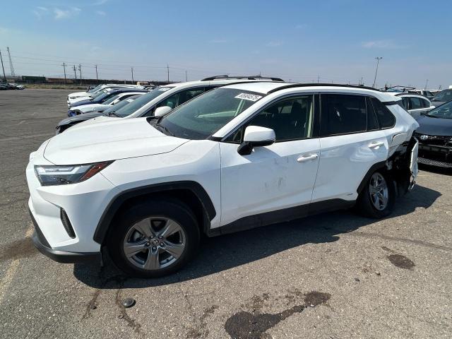 2024 TOYOTA RAV4 LE, 