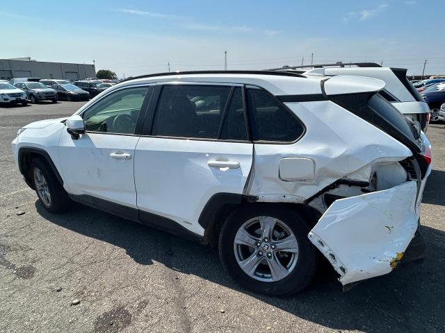 JTMMWRFVXRD246292 - 2024 TOYOTA RAV4 LE თეთრი ფოტო 2