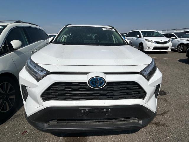JTMMWRFVXRD246292 - 2024 TOYOTA RAV4 LE თეთრი ფოტო 5