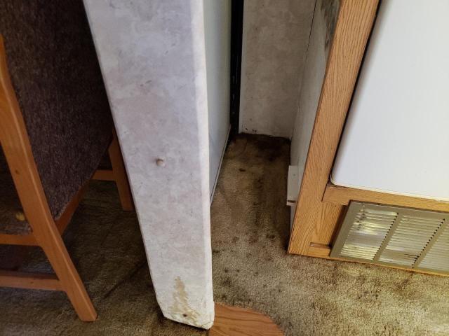 4YDF3572934502540 - 2003 KEYSTONE MONTANA WHITE photo 9