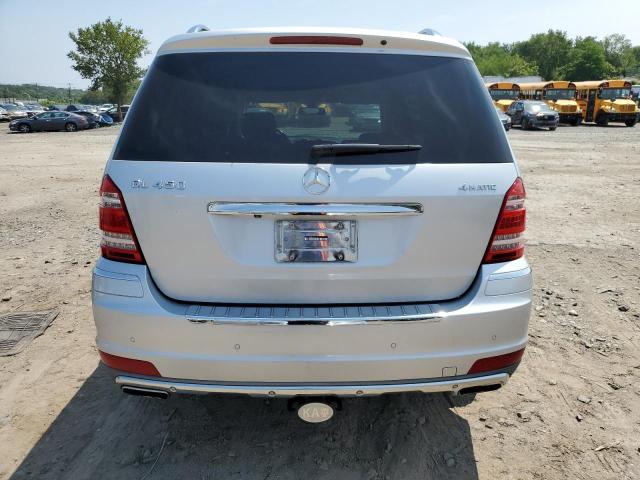 4JGBF7BE8AA616612 - 2010 MERCEDES-BENZ GL 450 4MATIC SILVER photo 6