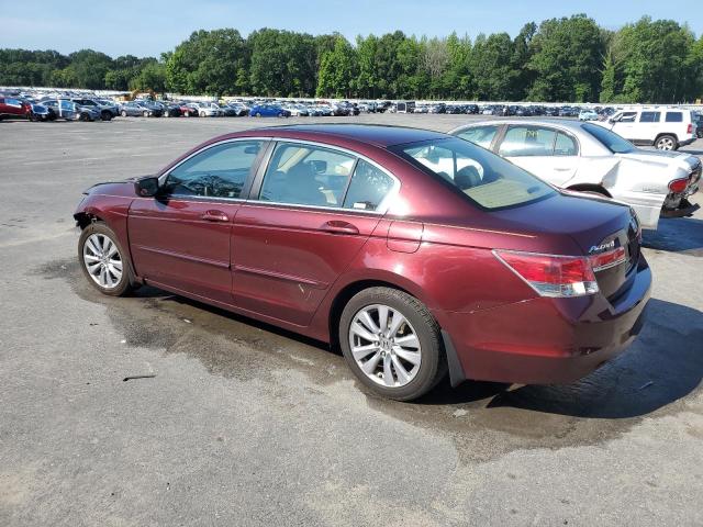 1HGCP2F71BA029269 - 2011 HONDA ACCORD EX 勃艮第红 照片 2