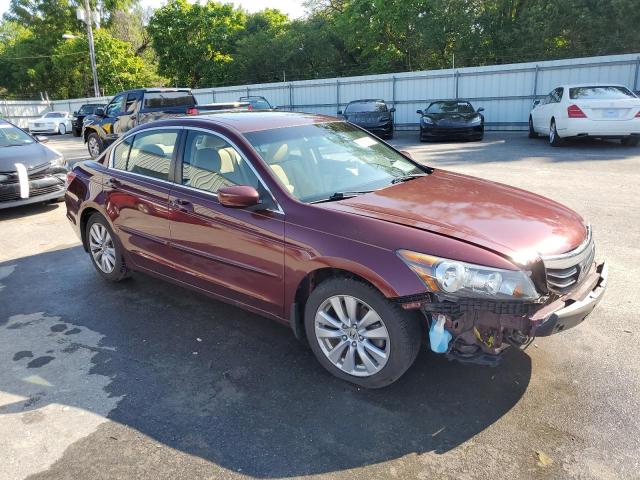1HGCP2F71BA029269 - 2011 HONDA ACCORD EX 勃艮第红 照片 4