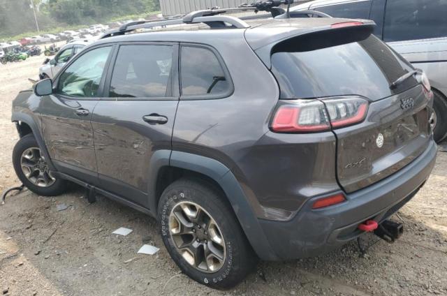1C4PJMBX2KD189758 - 2019 JEEP CHEROKEE TRAILHAWK Grafit foto 2