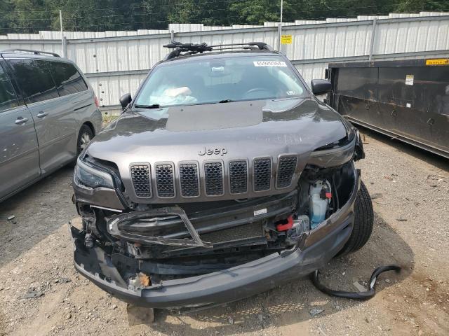 1C4PJMBX2KD189758 - 2019 JEEP CHEROKEE TRAILHAWK Grafit foto 5