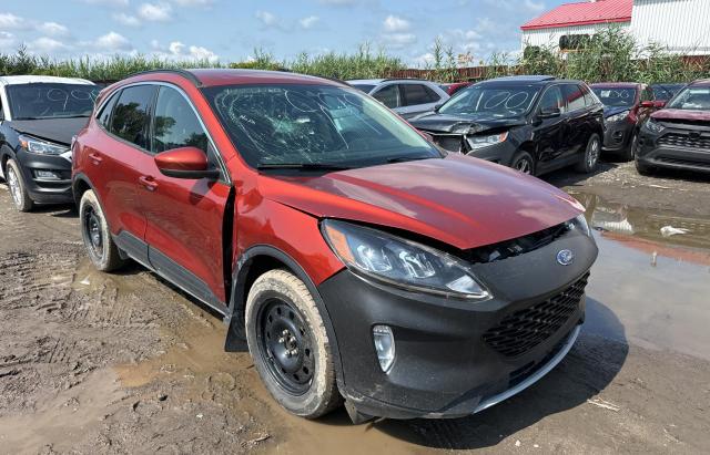 2020 FORD ESCAPE SEL, 