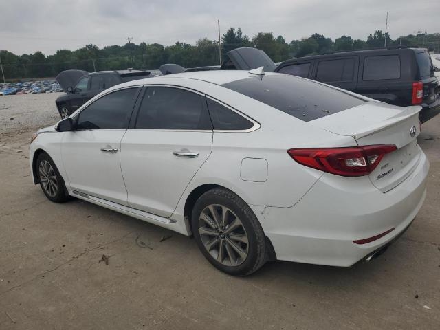 5NPE34AF0HH500861 - 2017 HYUNDAI SONATA SPORT WHITE photo 2