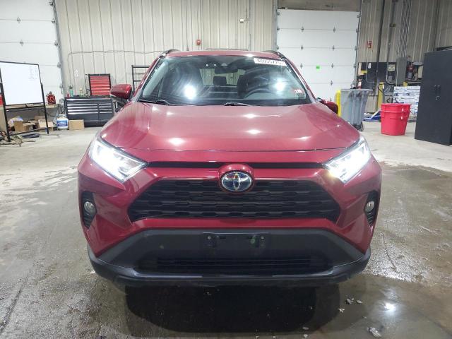 2T3RWRFV2LW098056 - 2020 TOYOTA RAV4 XLE BURGUNDY photo 5