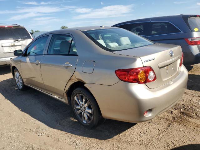 1NXBU4EE1AZ319714 - 2010 TOYOTA COROLLA BASE GOLD photo 2