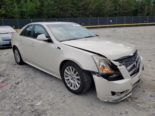 1G6DC5EY6B0128916 - 2011 CADILLAC CTS CREAM photo 4