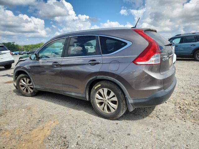 5J6RM3H79EL009133 - 2014 HONDA CR-V EXL 灰色 照片 2