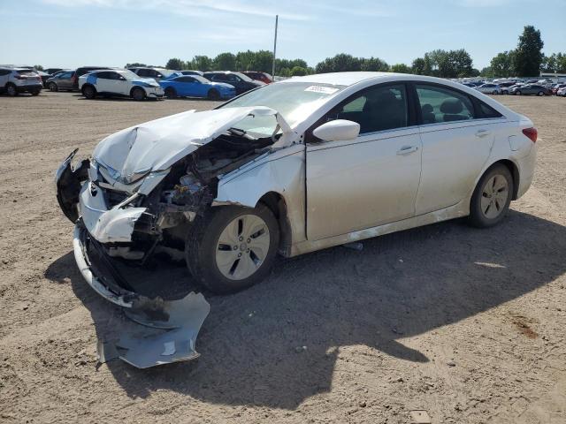2014 HYUNDAI SONATA GLS, null