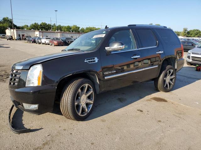 1GYS4CEF4BR121425 - 2011 CADILLAC ESCALADE PREMIUM BLACK photo 1