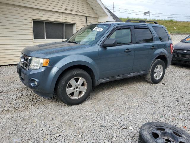 2011 FORD ESCAPE XLT, null