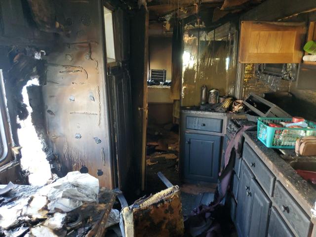 1RF120517Y2009531 - 2000 ROADMASTER RAIL DYANASTER WHITE photo 6