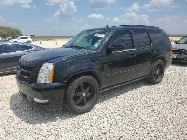 1GYS4DEF0DR371284 - 2013 CADILLAC ESCALADE PLATINUM BLACK photo 1