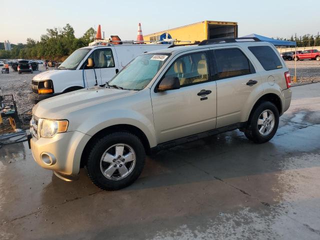 2011 FORD ESCAPE XLT, 