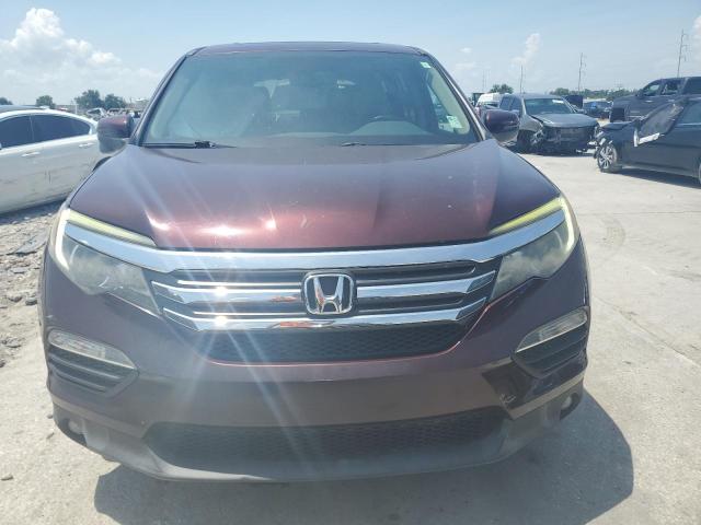 5FNYF6H52GB111147 - 2016 HONDA PILOT EXL BURGUNDY photo 5