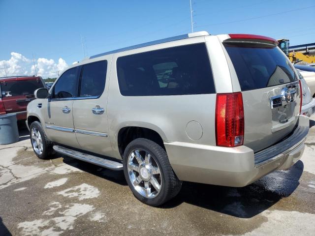 1GYS4HEF1DR295596 - 2013 CADILLAC ESCALADE ESV LUXURY BEIGE photo 2
