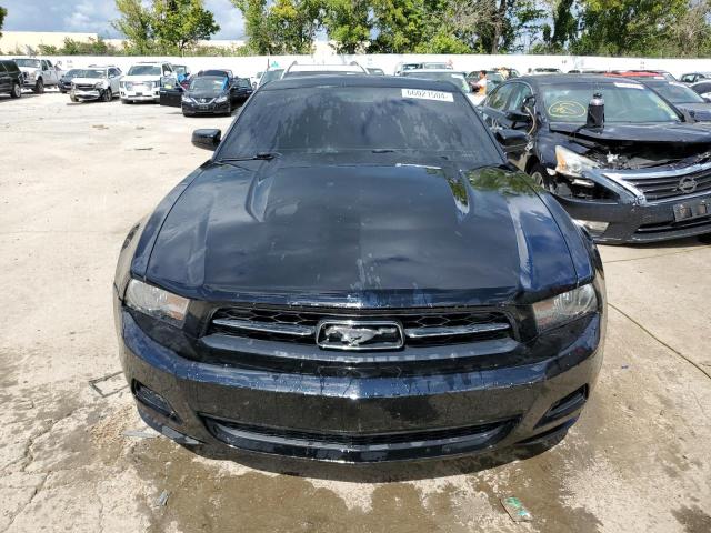 1ZVBP8AN8A5168774 - 2010 FORD MUSTANG BLACK photo 5