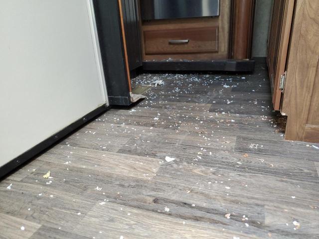 4YDF37922G4702268 - 2016 KEYSTONE TRAILER BEIGE photo 9