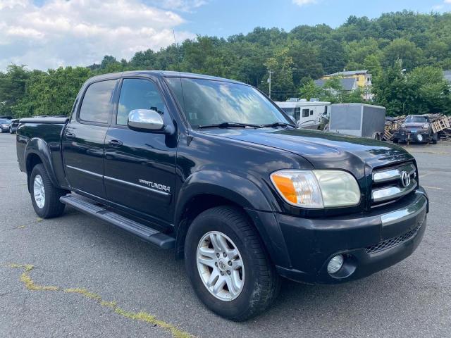 2006 TOYOTA TUNDRA DOUBLE CAB SR5, null
