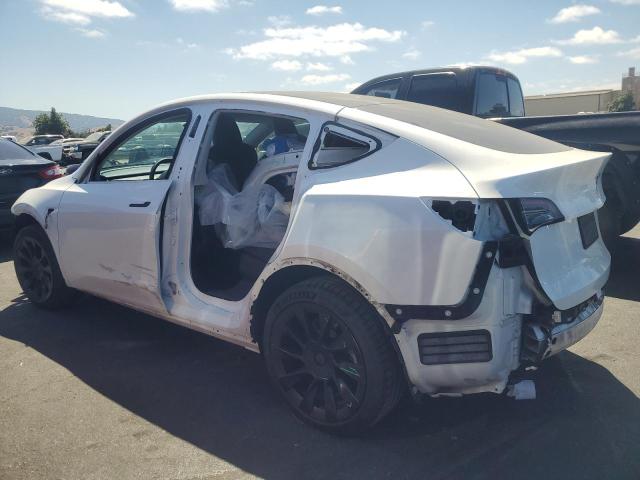 5YJYGDEEXMF217699 - 2021 TESLA MODEL Y Ağ foto 2